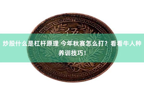 炒股什么是杠杆原理 今年秋赛怎么打？看看牛人种养训技巧！