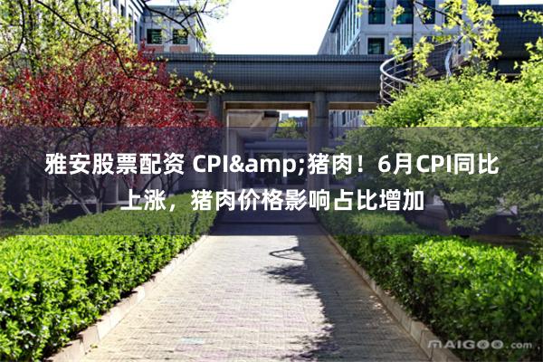 雅安股票配资 CPI&猪肉！6月CPI同比上涨，猪肉价格影响占比增加