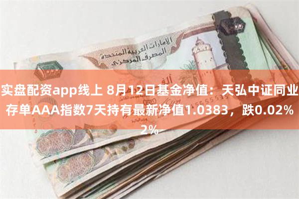 实盘配资app线上 8月12日基金净值：天弘中证同业存单AAA指数7天持有最新净值1.0383，跌0.02%