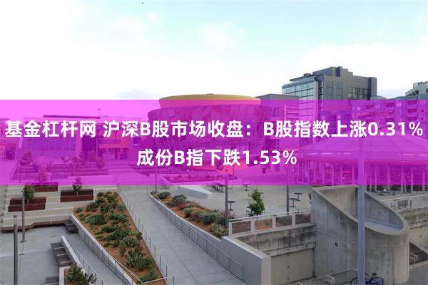 基金杠杆网 沪深B股市场收盘：B股指数上涨0.31% 成份B指下跌1.53%