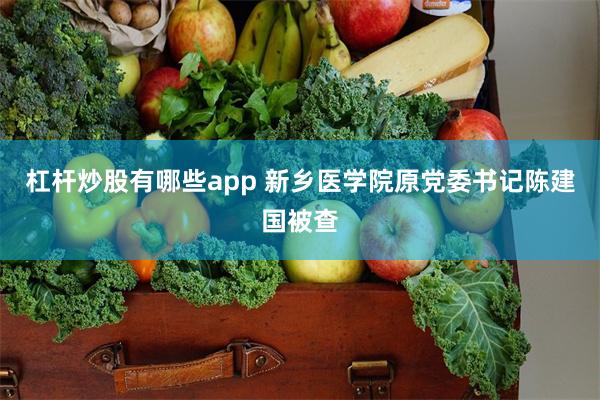 杠杆炒股有哪些app 新乡医学院原党委书记陈建国被查