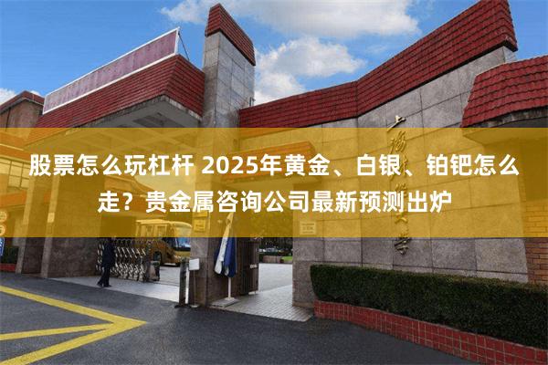 股票怎么玩杠杆 2025年黄金、白银、铂钯怎么走？贵金属咨询公司最新预测出炉