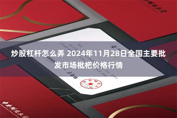 炒股杠杆怎么弄 2024年11月28日全国主要批发市场枇杷价格行情