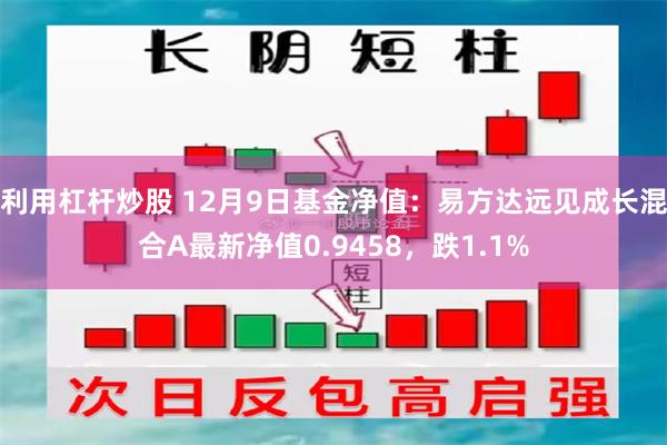 利用杠杆炒股 12月9日基金净值：易方达远见成长混合A最新净值0.9458，跌1.1%