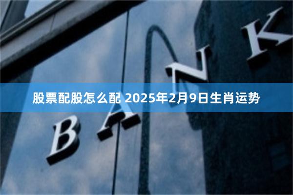 股票配股怎么配 2025年2月9日生肖运势