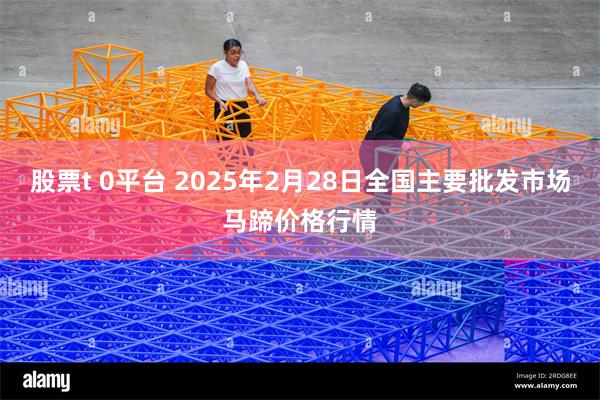 股票t 0平台 2025年2月28日全国主要批发市场马蹄价格行情