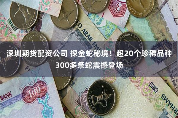 深圳期货配资公司 探金蛇秘境！超20个珍稀品种300多条蛇震撼登场